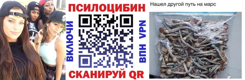 Псилоцибиновые грибы ЛСД  Купить закладки  Камешково 